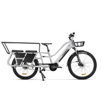 Bicicleta ebike e-cargo berna