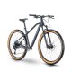 Bicicleta Raymon HardRay Nine 6.0 sx eagle 12vel