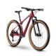 bicicleta Raymon HardRay 7.0 carbono