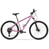 Bicicleta vitoria axim sx eagle rosa