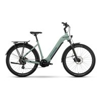 Bicicleta ebike Raymon TourRay Select Wave verde