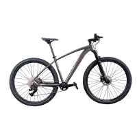 Bicicleta Rali A-PRO 2.0 (29″) gris