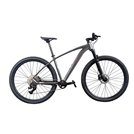 Bicicleta Rali A-PRO 2.0 (29″) gris