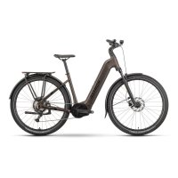 bicicleta ebike Raymon Tahona Wave