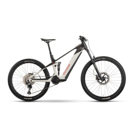 bicicleta ebike raymon tarok