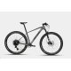 bicicleta mendiz carbono X21.10 12 Vel horquilla fox gris