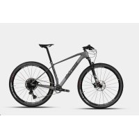 bicicleta mendiz carbono X21.10 12 Vel horquilla fox gris