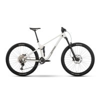 Bicicleta Raymon Rokua 150