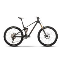 Bicicleta Raymon Rokua 170 Ultra