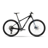 Bicicleta Raymon Arid Ultra