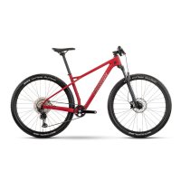 bicicleta Raymon Arid Pro